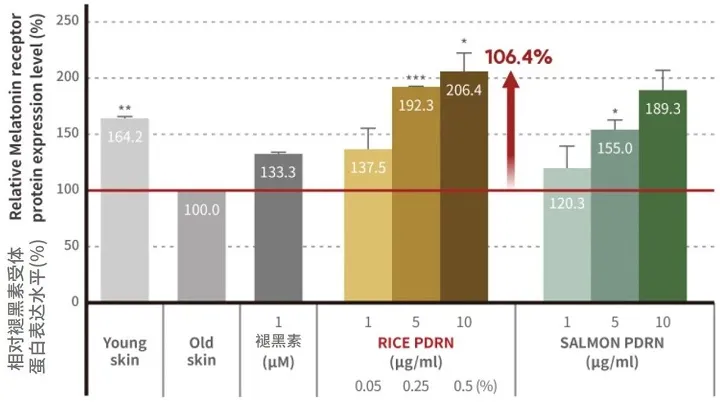 Bar chart showing relative melatonin receptor protein expression levels in various skin conditions and treatments, including young skin, old skin, and different concentrations of PDRN from rice and salmon sources.
